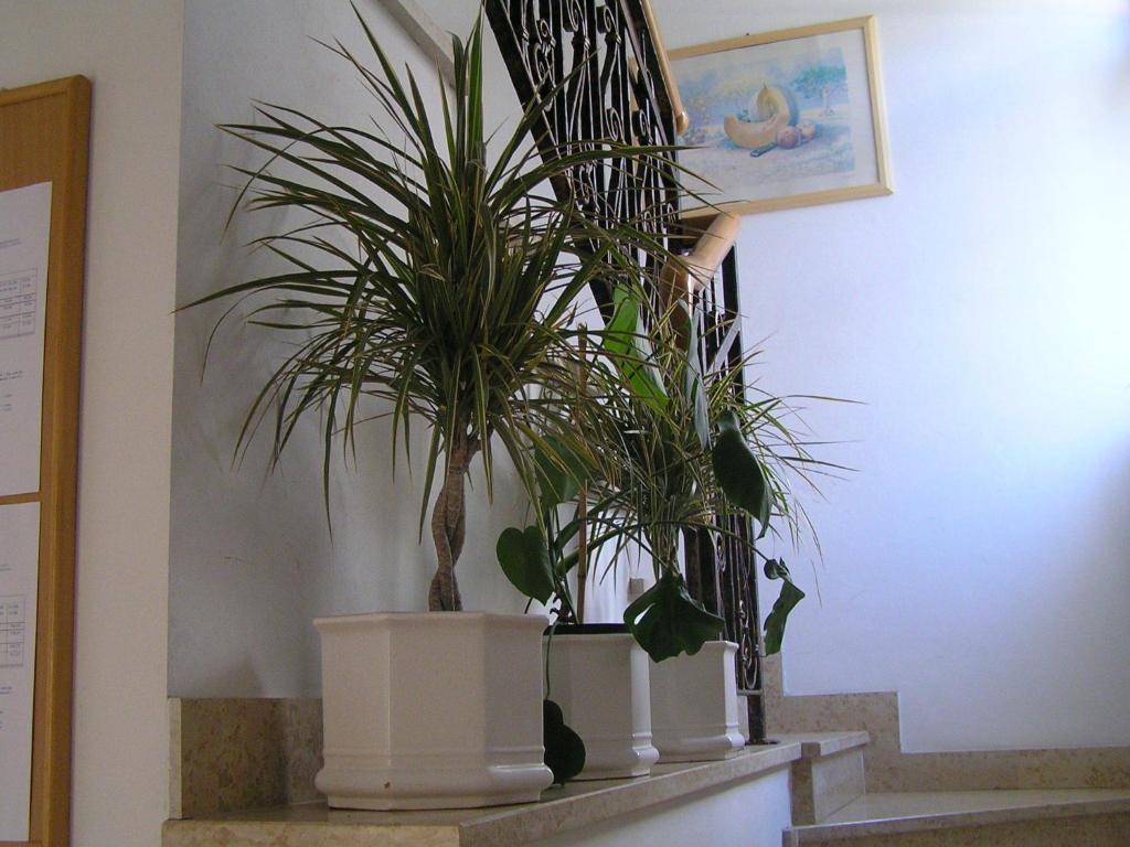Apartments Paloma Blanca Medulin Quarto foto