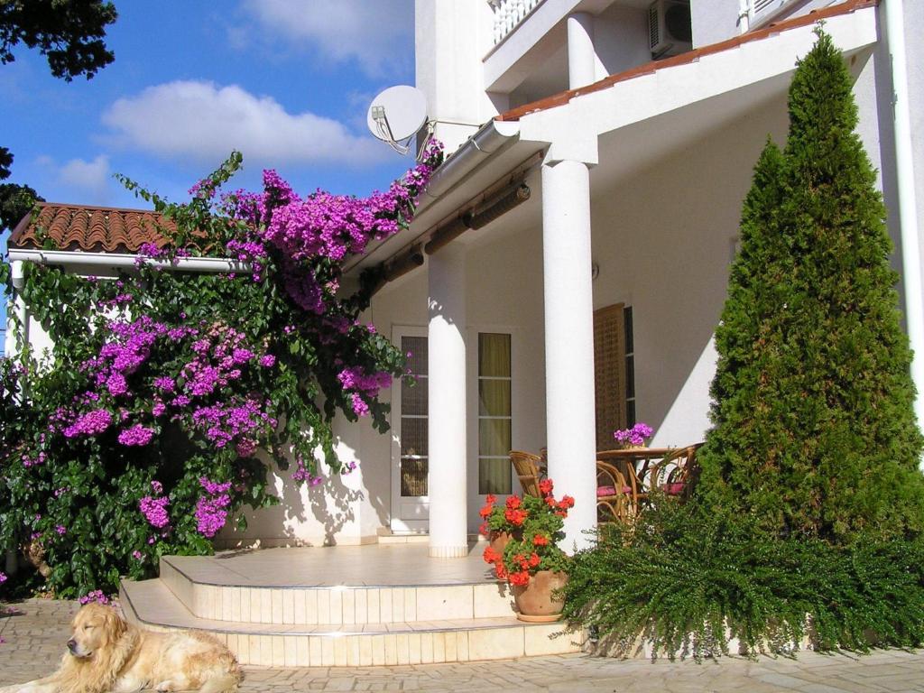 Apartments Paloma Blanca Medulin Quarto foto